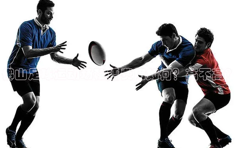 欧陆娱乐官网中文在线佛山足球运动场租赁费用如何？高不高？