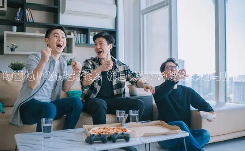 绿茵场上的青春旋律：校园休闲运动赛事策划与执行