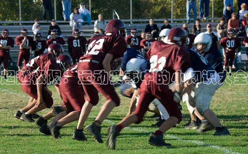 超越极限：运动赛事中的小知识大全