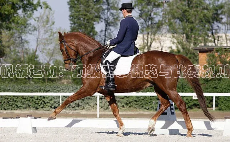 帆板运动：顶级赛事概览与比赛规则
