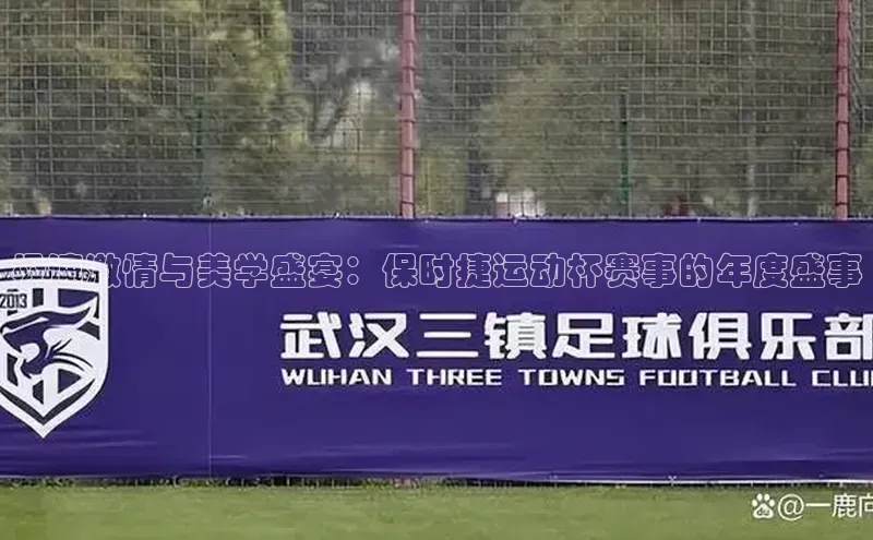 极速激情与美学盛宴：保时捷运动杯赛事的年度盛事