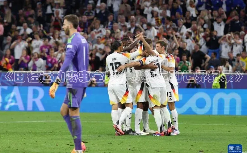 《田径运动赛事全览：从奥运到世界纪录》