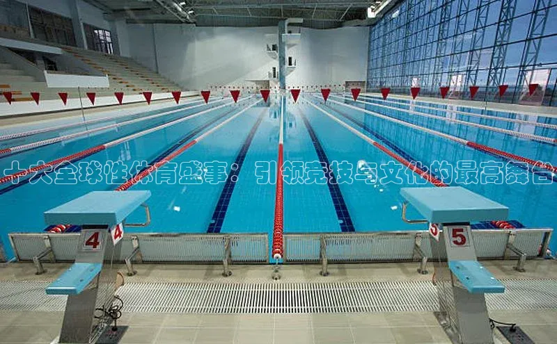 十大全球性体育盛事：引领竞技与文化的最高舞台