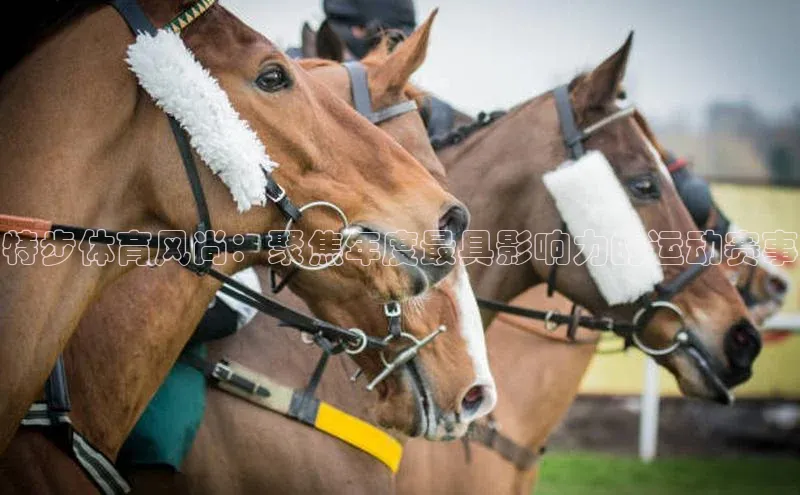 特步体育风尚：聚焦年度最具影响力的运动赛事