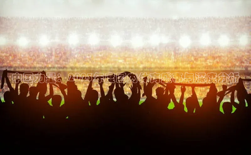 中国力量：2023年度国内体育盛事与深度分析