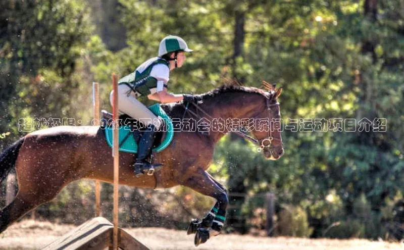 超越极限：2023年亚洲运动会的精彩瞬间与运动项目介绍