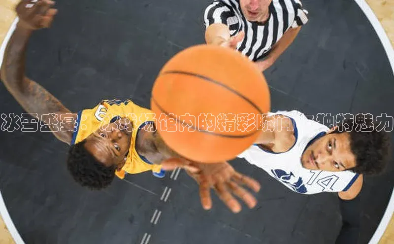 冰雪盛宴：冰球场馆内的精彩瞬间与独特魅力