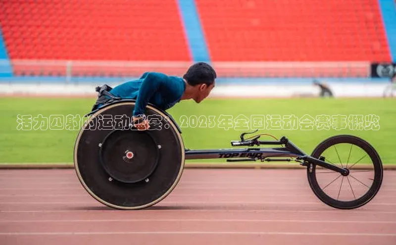 活力四射的运动盛宴：2023年全国运动会赛事概览