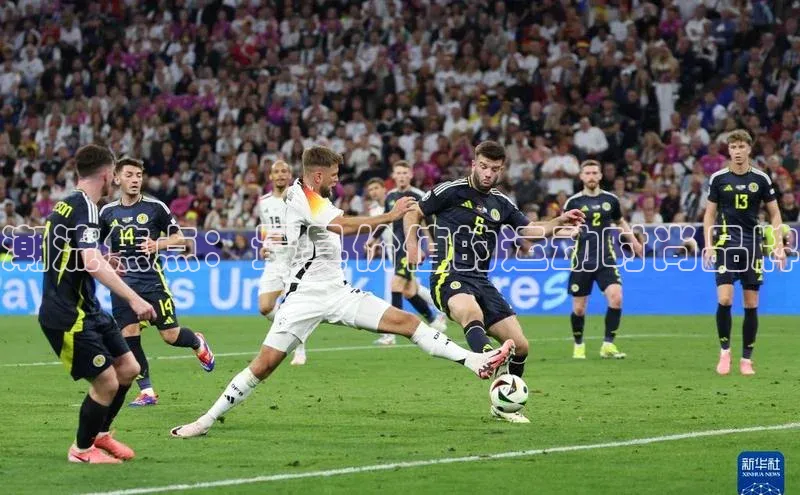 潮流焦点：最具价值的运动时尚品牌